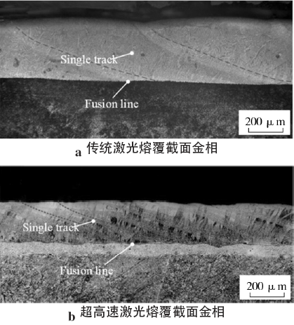 传统激光熔覆与超高速激光熔覆的典型截面金相分别如图7 所示。