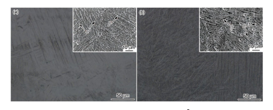 图1 SLM态及HT态Ti6I4V合金的显微组织